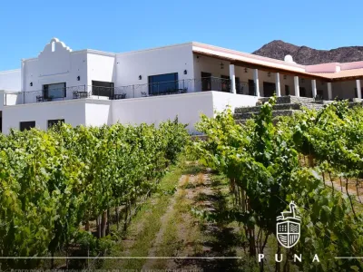 Bodegas Bodega Puna