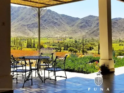 Bodegas Bodega Puna