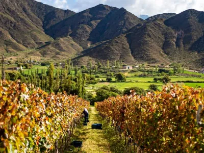 Bodegas Bodega Puna