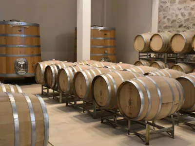 Bodegas Bodega Puna