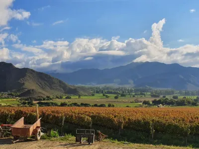 Bodegas Bodega Puna