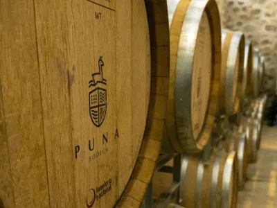 Bodegas Bodega Puna