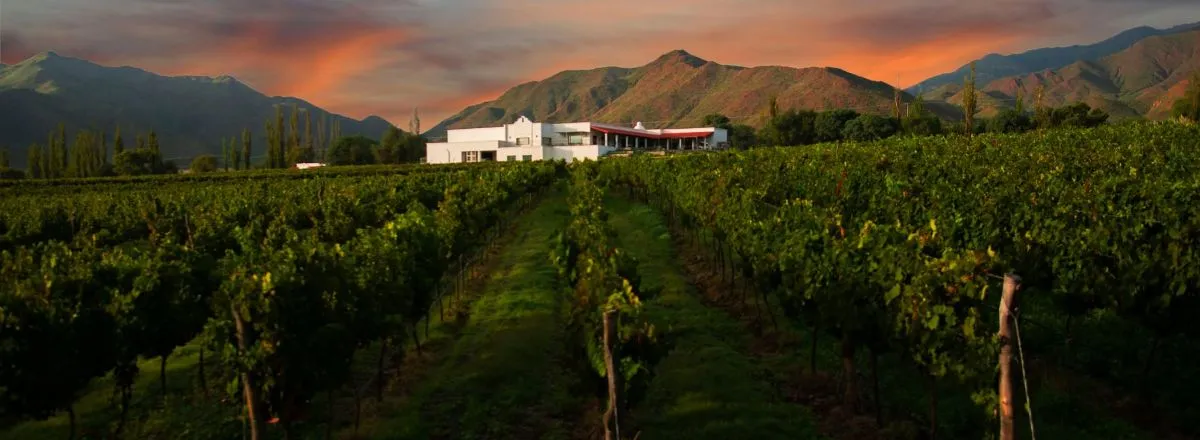 Bodegas Bodega Puna