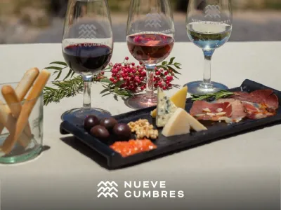 Bodegas Nueve Cumbres Bodega y Viñedos