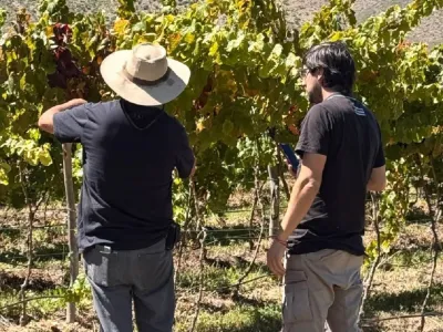 Bodegas Nueve Cumbres Bodega y Viñedos