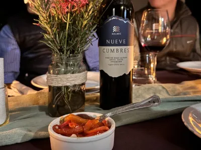 Bodegas Nueve Cumbres Bodega y Viñedos