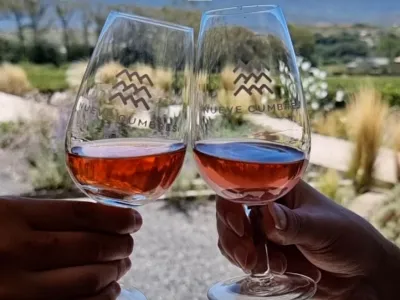 Bodegas Nueve Cumbres Bodega y Viñedos