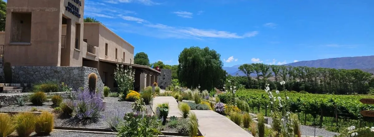 Bodegas Nueve Cumbres Bodega y Viñedos