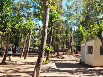 Las Flores Camping Sites  in  Villa El Chocón