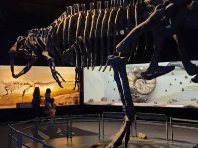 Paleonotológico E Feruglio Museos  en  Trelew