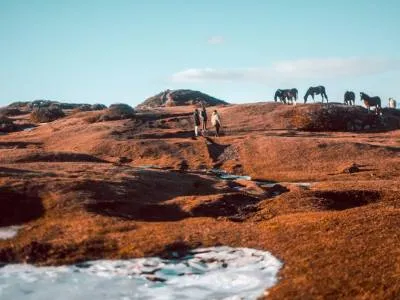 Travel and Tourist Agency Rumbo Sur