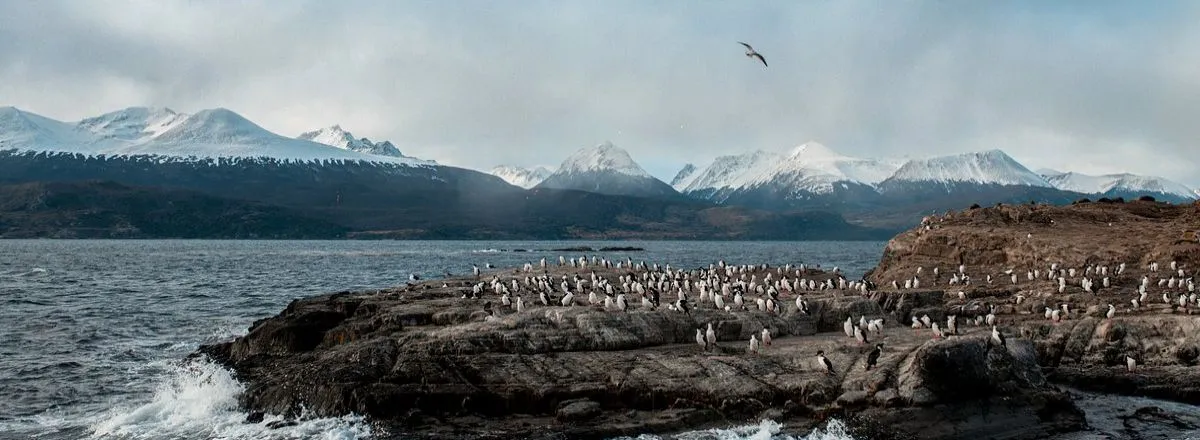 Travel and Tourist Agency Rumbo Sur