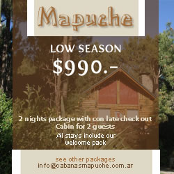 Promo Mapuche Cabins