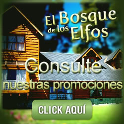 Promo 