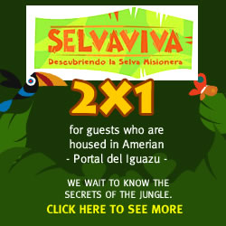 Promo Amerian Portal del Iguaz�