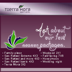 Promo Tierra Mora Hotel boutique & apartments