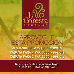 Promo 
