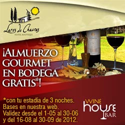 Promo Lares de Chacras