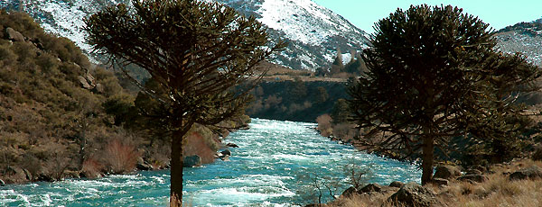 Río Aluminé (foto: Jorge González)