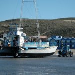 Fotos de Puerto Pirámides: fotos y paisajes | Turismo en Puerto Pirámides