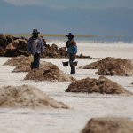 Trabajadores de la sal