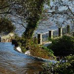 Parque del telef�rico