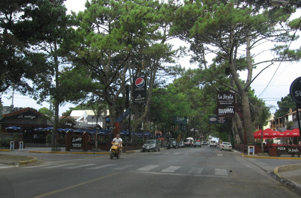 Avenida San Bernardo