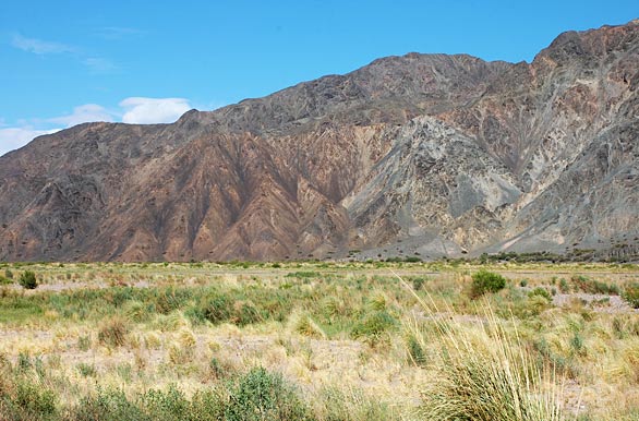 Valle de Calingasta