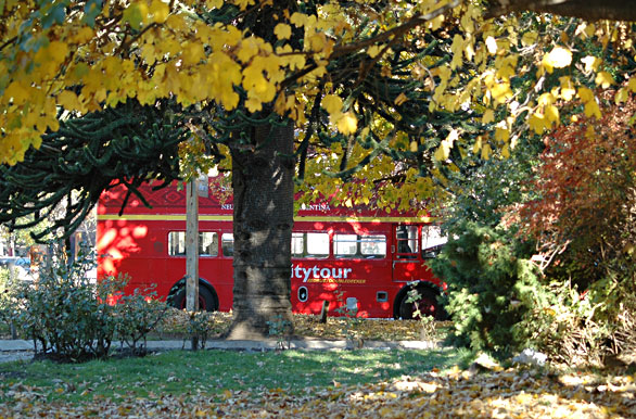 City Tour en Bus