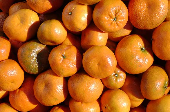 Mandarinas tinogasteñas