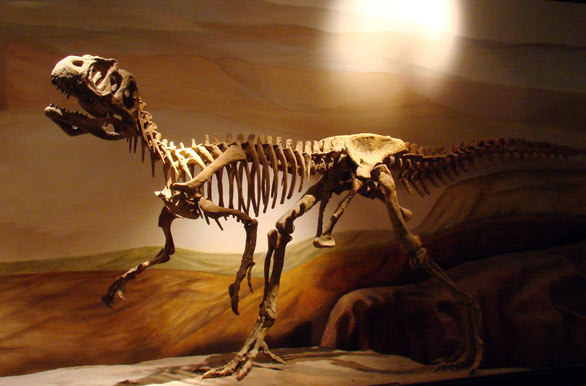Museo Paleontológico Egidio Feruglio