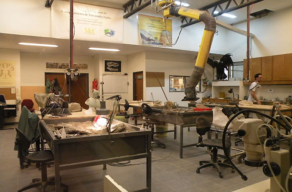 Laboratorio del museo