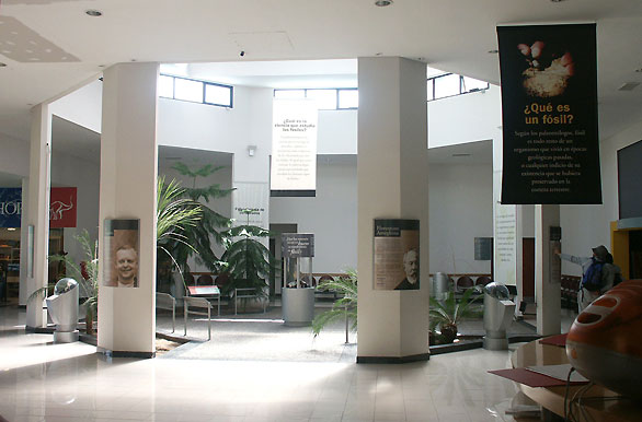 Museo Egidio Feruglio