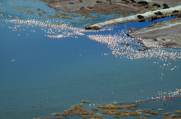 Laguna del Ornitólogo